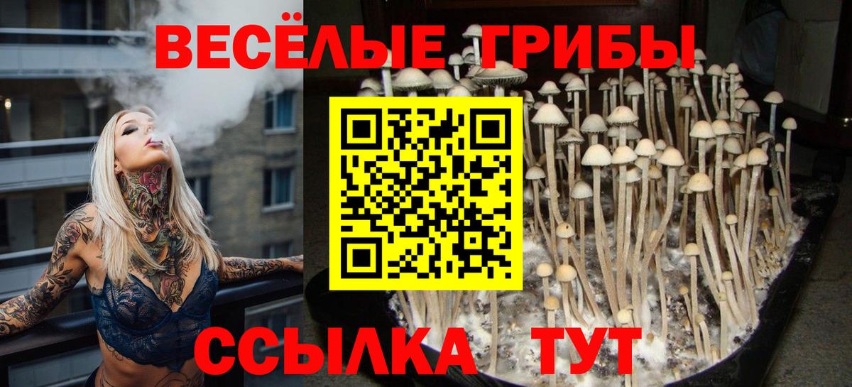 Галлюциногенные грибы прущие грибы Ростов Великий