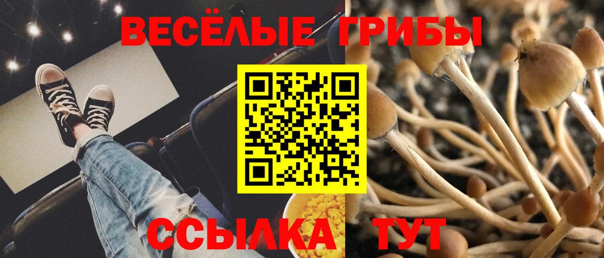 Ростов Великий  Галлюциногенные грибы Magic Shrooms  Вход с VPN 